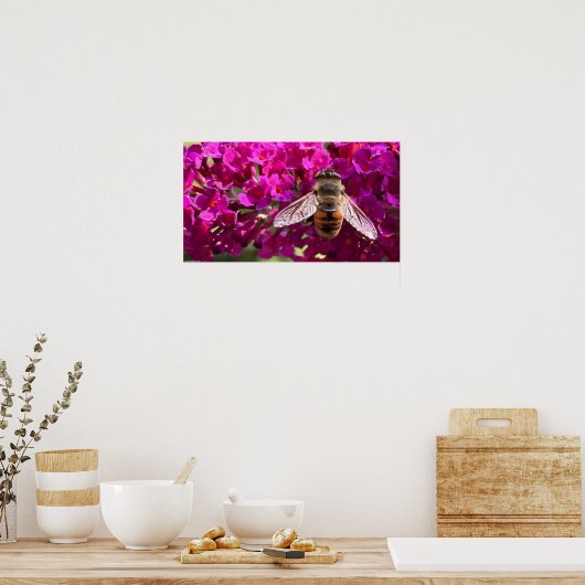 Poster Abee, (Cuisine)