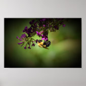 Poster Abee, (Devant)