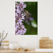 Poster Abee (Cuisine)