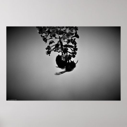 Poster Abee, (Devant)