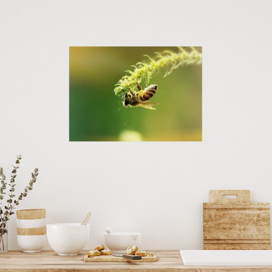 Poster Abee (Cuisine)