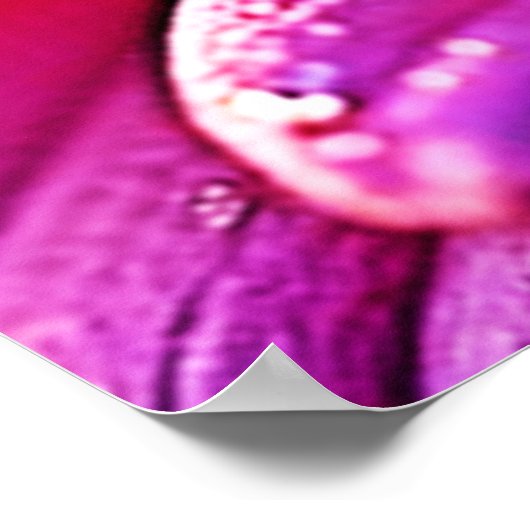 Poster Abee en effervescence sur la conception de la fleu (Coin)