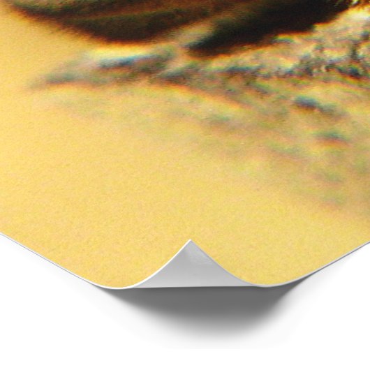 Poster abeille (Coin)