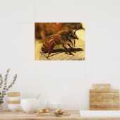 Poster abeille (Cuisine)