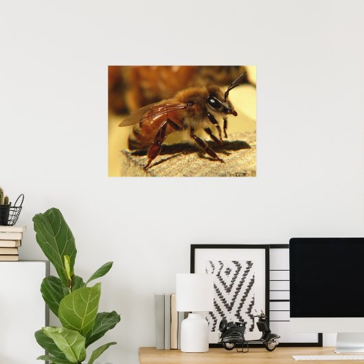 Poster abeille (Bureau à domicile)