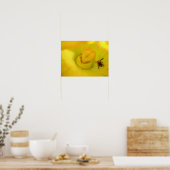 Poster Abeille à la fleur de courgette jaune petit (Cuisine)