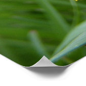 Poster Abeille à miel de Pollenface (Coin)