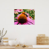 Poster Abeille affairée sur une Echinacea pourpre (Cuisine)