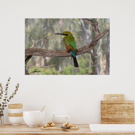 Poster Abeille arc-en-ciel, Australie (Cuisine)