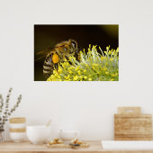 Poster Abeille au travail (Cuisine)