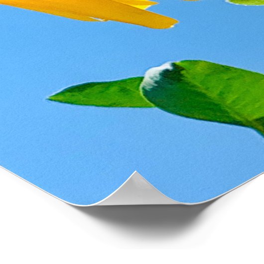 Poster Abeille dans le tournesol (Coin)