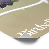 Poster Abeille de colibri et de miel (Coin)