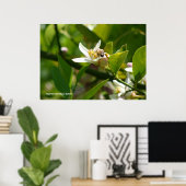 Poster Abeille de fleur de citron (2) (Bureau à domicile)