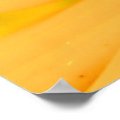 Poster Abeille de miel au centre des choses (Coin)