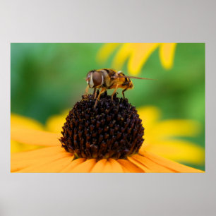 Poster Abeille de miel au centre des choses