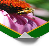 Poster Abeille de miel sur Echinacea Fleur marguerite Abs (Coin)