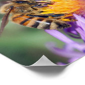 Poster Abeille de miel sur Fleur rose violet (Coin)