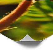 Poster Abeille de miel sur la fleur de bouffée de poudre, (Coin)