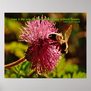 Poster Abeille de miel sur la fleur de bouffée de poudre,