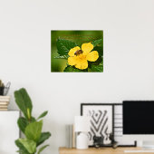 Poster Abeille de miel sur la fleur, Proverbes 16:24 (Bureau à domicile)