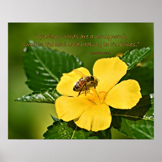 Poster Abeille de miel sur la fleur, Proverbes 16:24 (Devant)
