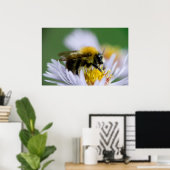 Poster Abeille de miel sur une fleur blanche (Bureau à domicile)