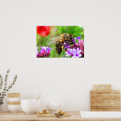 Poster Abeille de miel sur Verbena (Cuisine)