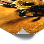 Poster Abeille d'or (Coin)