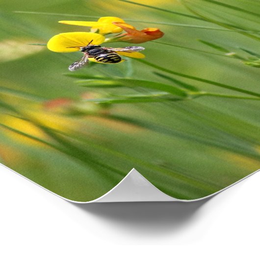 Poster Abeille en ce moment (Coin)