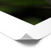 Poster Abeille en ruines (Coin)