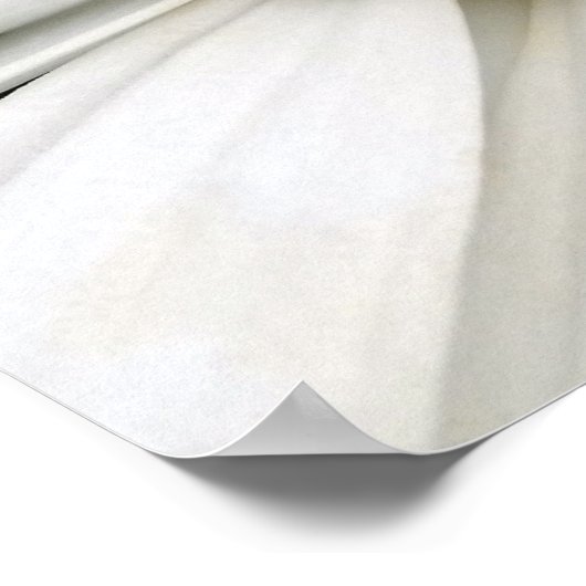 Poster abeille et marguerite (Coin)