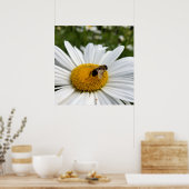 Poster abeille et marguerite (Cuisine)