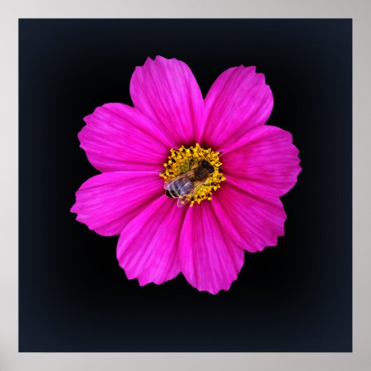 Poster abeille qui travaille dur (Devant)