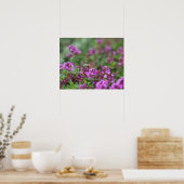 Poster Abeille Recueillant du Nectar (Cuisine)