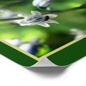 Poster Abeille Sur Bluebell Flower Abstrait (Coin)