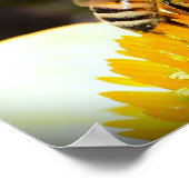 Poster Abeille sur coneflower, (Coin)