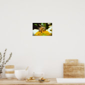 Poster Abeille sur coneflower, (Cuisine)