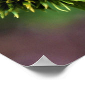 Poster Abeille sur coneflower (Coin)