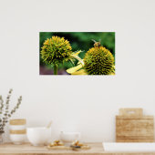 Poster Abeille sur coneflower (Cuisine)