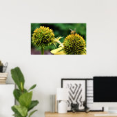 Poster Abeille sur coneflower (Bureau à domicile)