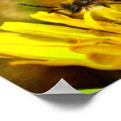 Poster Abeille sur fleur (Coin)