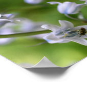 Poster Abeille sur fleur de jacinthe des bois abstraite (Coin)