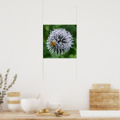 Poster Abeille sur fleur d'Echinops (Cuisine)