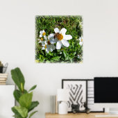Poster abeille sur la fleur blanche (Bureau à domicile)