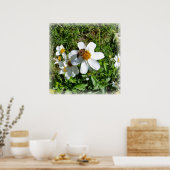Poster abeille sur la fleur blanche (Cuisine)