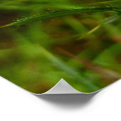 Poster Abeille sur la nature de la fleur de chardon (Coin)