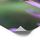 Poster Abeille sur l'affiche Fleur Jaune & Violet (Coin)