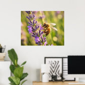 Poster Abeille sur lavande (Bureau à domicile)