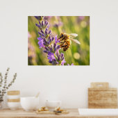 Poster Abeille sur lavande (Cuisine)