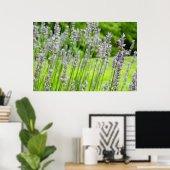 Poster Abeille sur Lavender Summer Floral (Bureau à domicile)